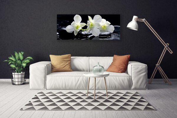 Obraz na plátne Kvet kamene rastlina 125x50 cm