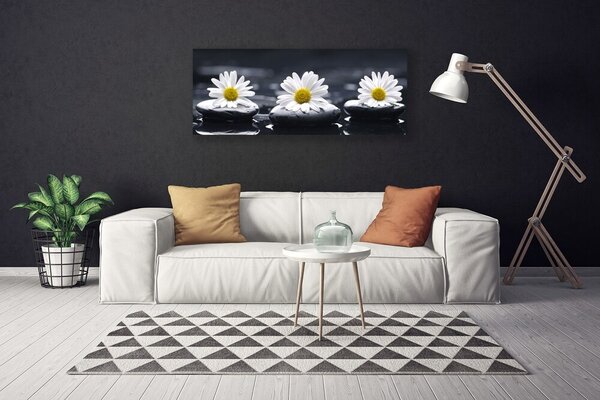Obraz na plátne Sedmokráska kamene rastlina 125x50 cm