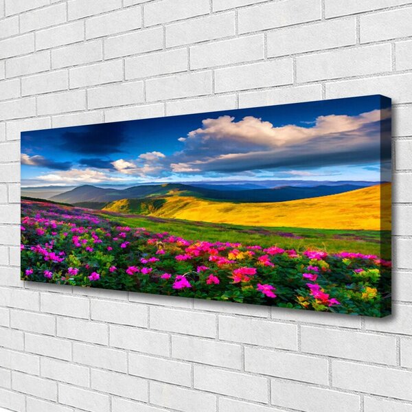 Obraz na plátne Lúka kvety príroda 125x50 cm