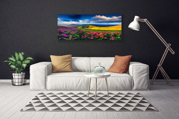 Obraz na plátne Lúka kvety príroda 125x50 cm