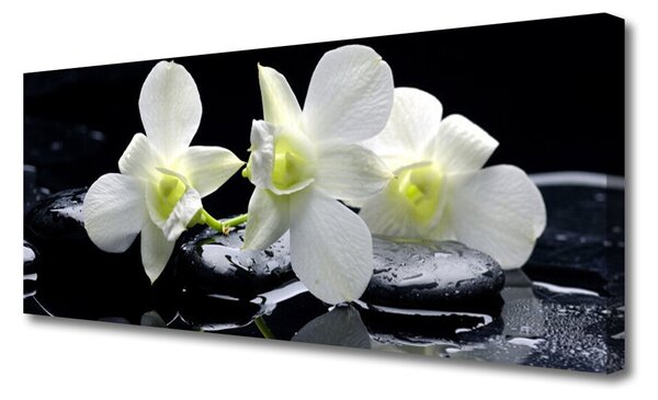 Obraz na plátne Kvet kamene rastlina 125x50 cm
