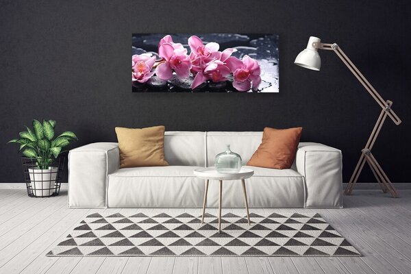 Obraz na plátne Kvet kamene rastlina 125x50 cm