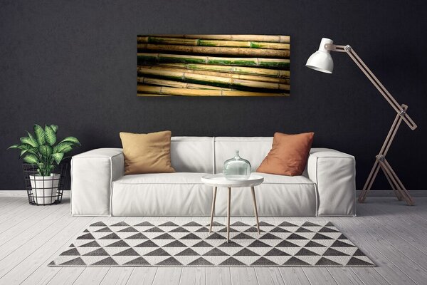 Obraz na plátne Bambus rastlina príroda 125x50 cm