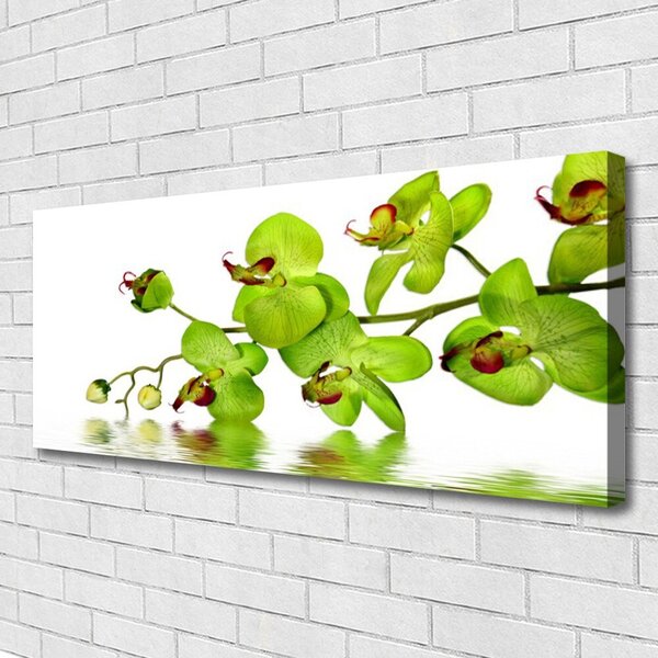 Obraz na plátne Kvety rastlina príroda 125x50 cm