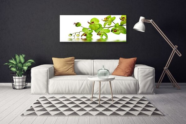 Obraz na plátne Kvety rastlina príroda 125x50 cm