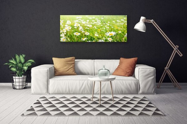 Obraz na plátne Lúka sedmokrásky príroda 125x50 cm