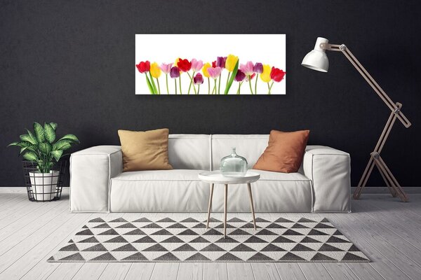 Obraz na plátne Tulipány kvety rastlina 125x50 cm