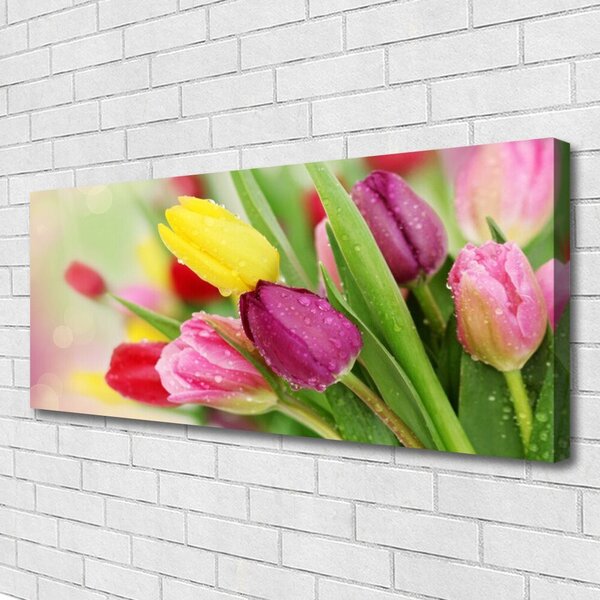 Obraz na plátne Tulipány kvety rastlina 125x50 cm