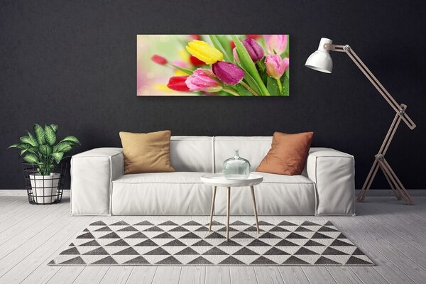 Obraz na plátne Tulipány kvety rastlina 125x50 cm