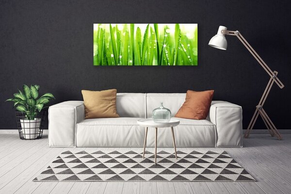 Obraz na plátne Tráva rastlina príroda 125x50 cm