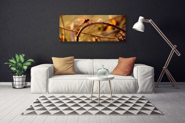 Obraz na plátne Vážka príroda rastlina 125x50 cm