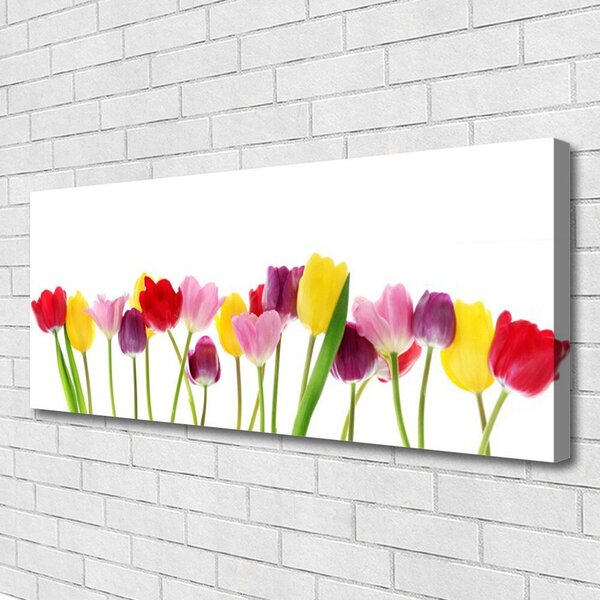Obraz na plátne Tulipány kvety rastlina 125x50 cm