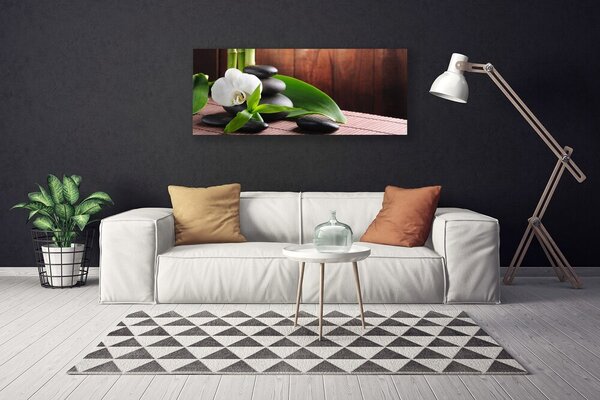 Obraz na plátne Kvet kamene rastlina 125x50 cm
