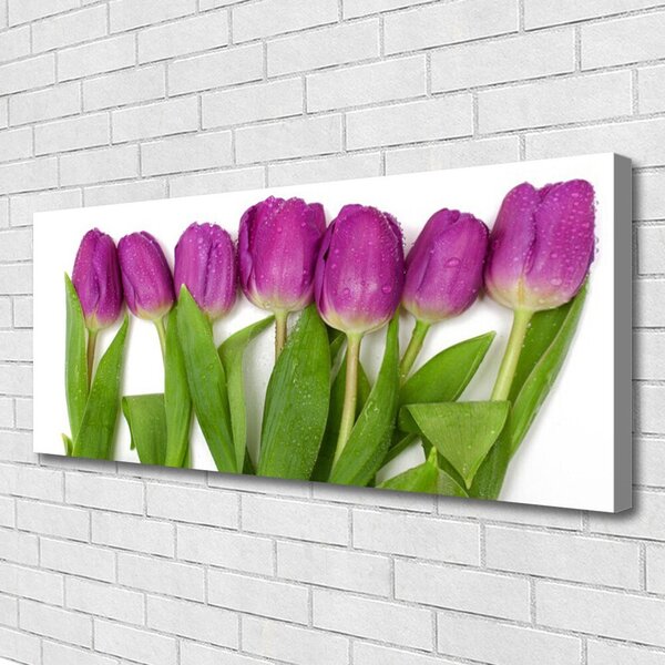 Obraz na plátne Tulipány kvety rastlina 125x50 cm