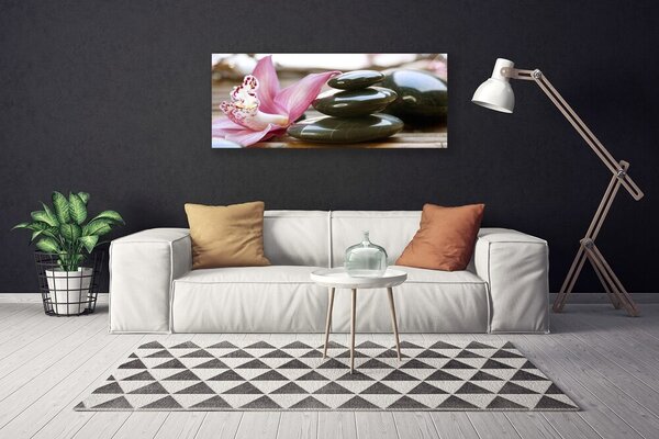Obraz na plátne Kvet kamene umenie 125x50 cm