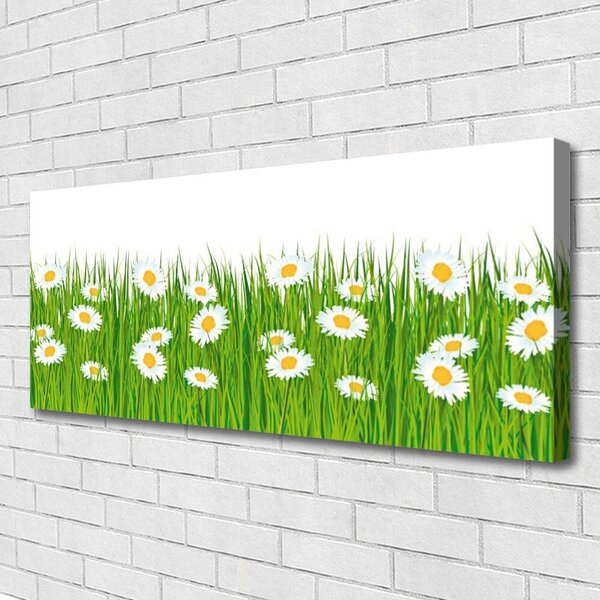 Obraz na plátne Tráva sedmokrásky príroda 125x50 cm