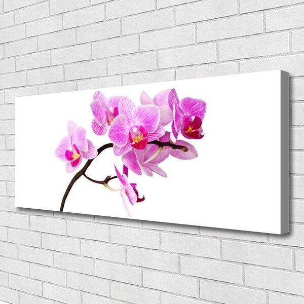Obraz na plátne Kvety rastlina príroda 125x50 cm