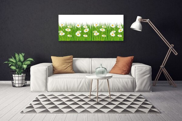 Obraz na plátne Tráva sedmokrásky príroda 125x50 cm