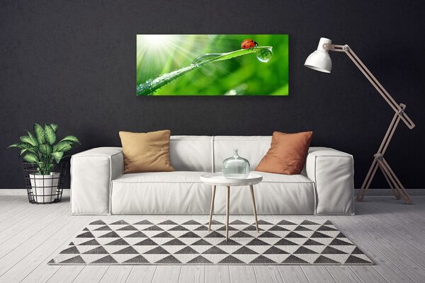 Obraz na plátne Tráva lienka príroda 125x50 cm