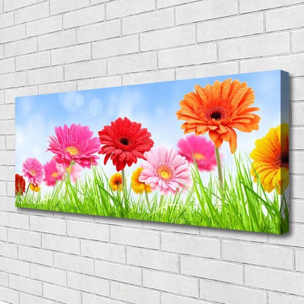 Obraz na plátne Kvety tráva rastlina 125x50 cm