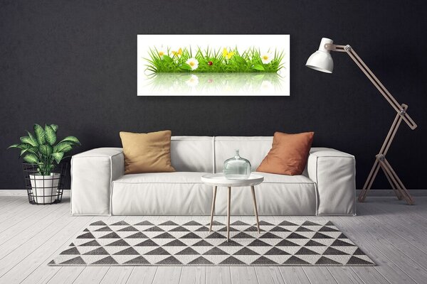 Obraz na plátne Tráva príroda rastlina 125x50 cm