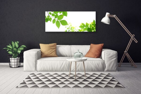 Obraz Canvas Plátky rastlina príroda 125x50 cm