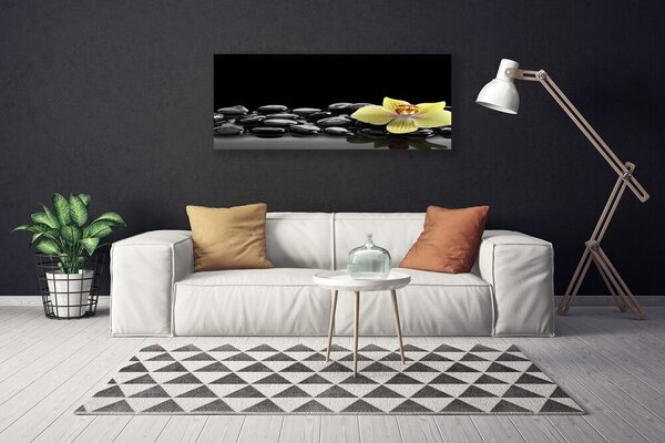 Obraz Canvas Kvet kamene kuchyňa 125x50 cm