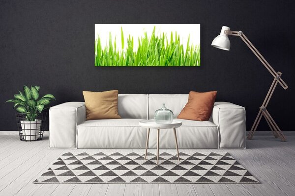 Obraz Canvas Tráva rastlina príroda 125x50 cm