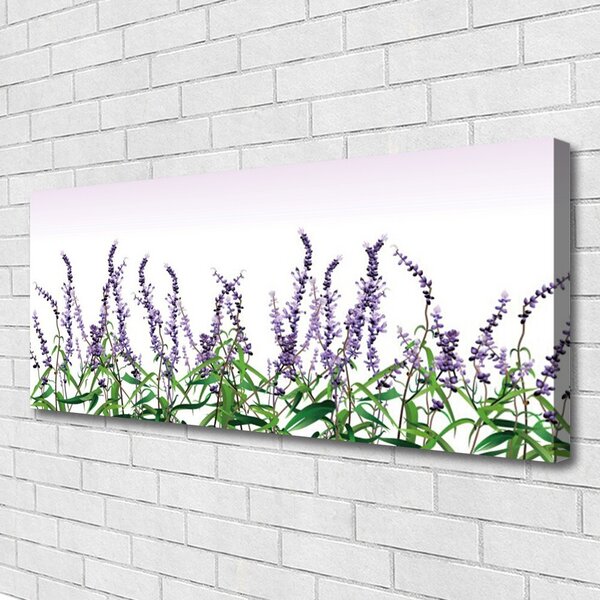 Obraz Canvas Kvety rastlina príroda 125x50 cm