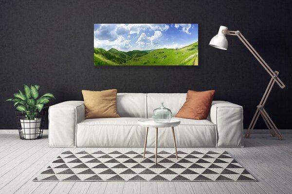 Obraz Canvas Hora lúka príroda 125x50 cm