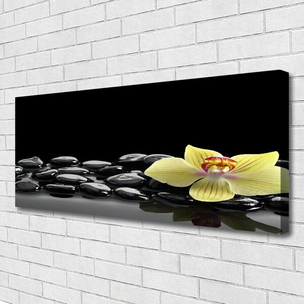 Obraz Canvas Kvet kamene kuchyňa 125x50 cm