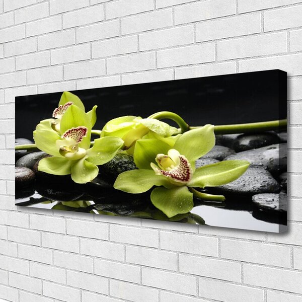 Obraz Canvas Kvet kamene rastlina 125x50 cm