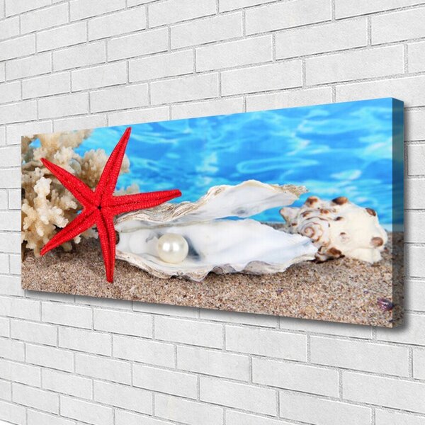 Obraz Canvas Hviezdice mušle príroda 125x50 cm