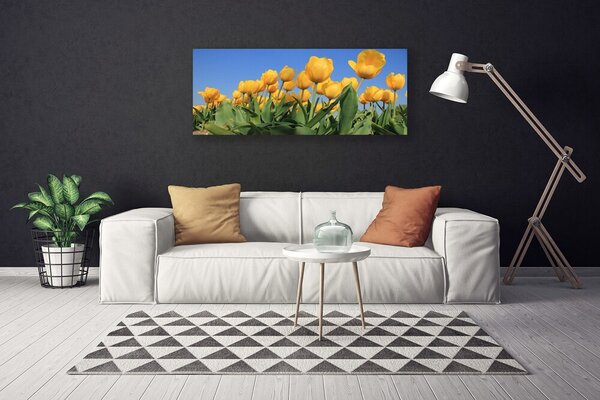 Obraz Canvas Tulipány kvety rastlina 125x50 cm
