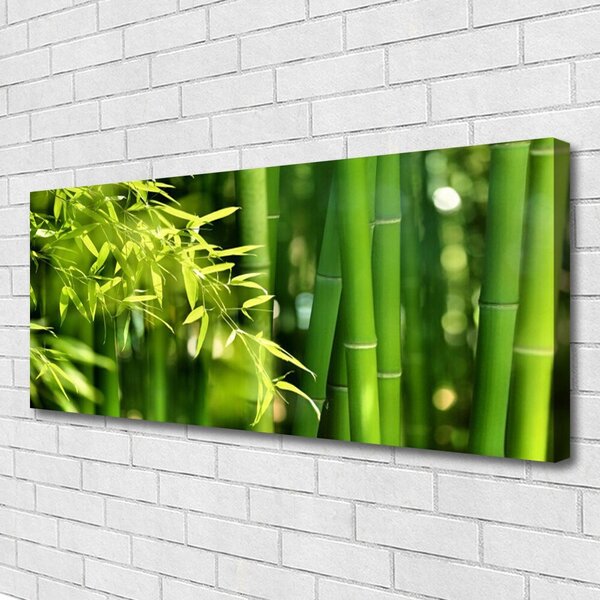 Obraz Canvas Bambus listy rastlina 125x50 cm