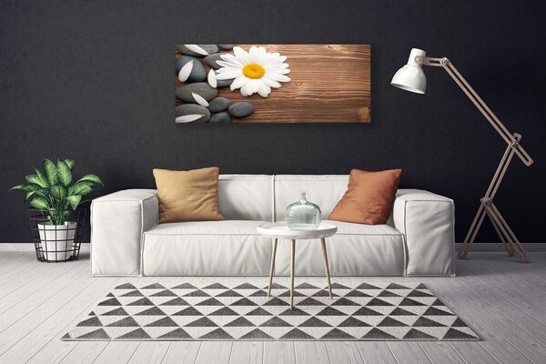 Obraz Canvas Sedmokráska kamene rastlina 125x50 cm