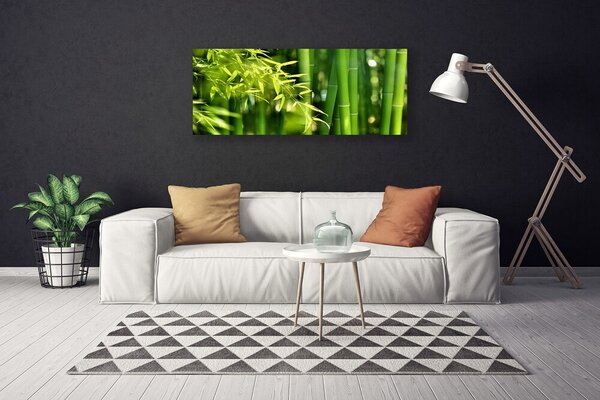 Obraz Canvas Bambus listy rastlina 125x50 cm