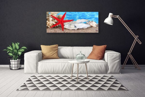 Obraz Canvas Hviezdice mušle príroda 125x50 cm