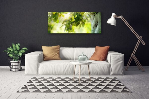 Obraz Canvas Jablká vetva strom príroda 125x50 cm