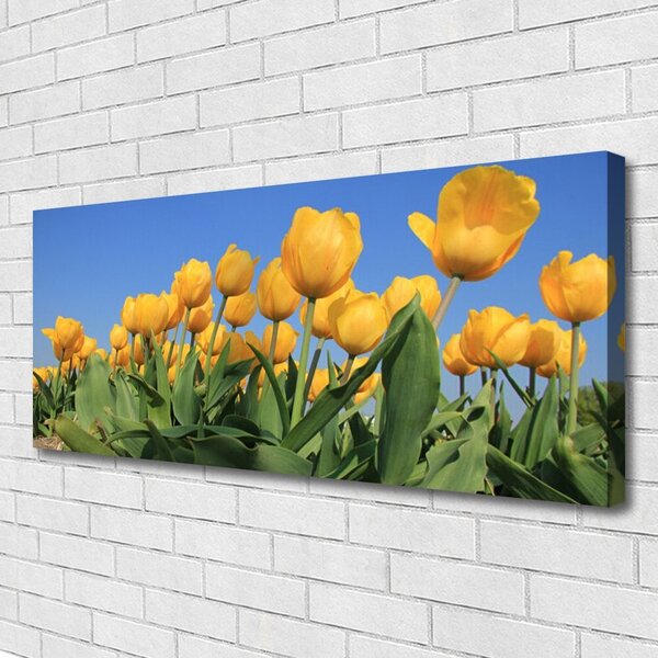 Obraz Canvas Tulipány kvety rastlina 125x50 cm