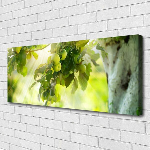 Obraz Canvas Jablká vetva strom príroda 125x50 cm
