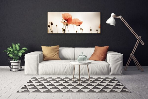 Obraz Canvas Maky rastlina príroda 125x50 cm