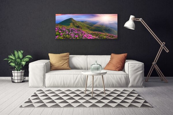 Obraz Canvas Hory lúka kvety príroda 125x50 cm