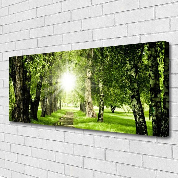Obraz Canvas Les slnko chodník príroda 125x50 cm