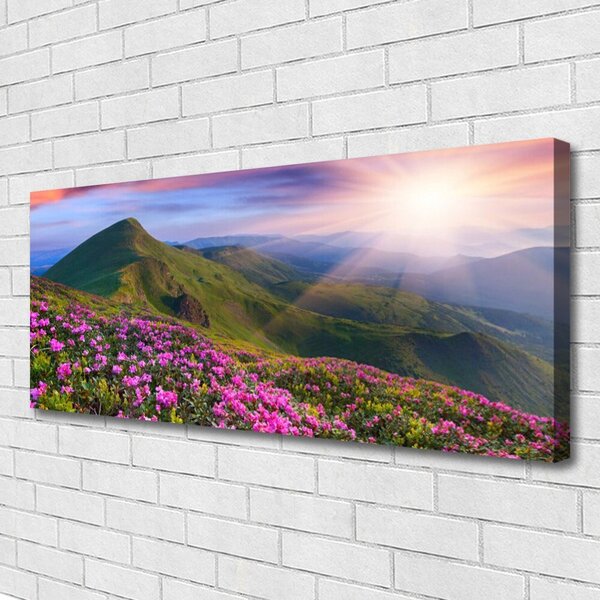 Obraz Canvas Hory lúka kvety príroda 125x50 cm
