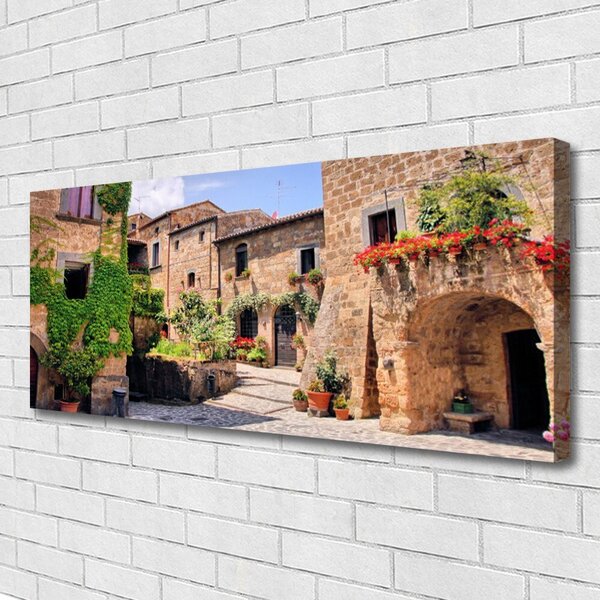 Obraz Canvas Aleje kvety domy rastlina 125x50 cm