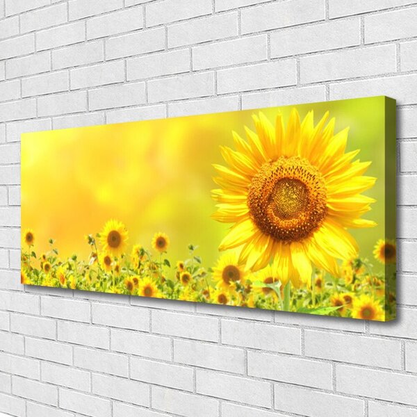 Obraz Canvas Slnečnica kvet rastlina 125x50 cm