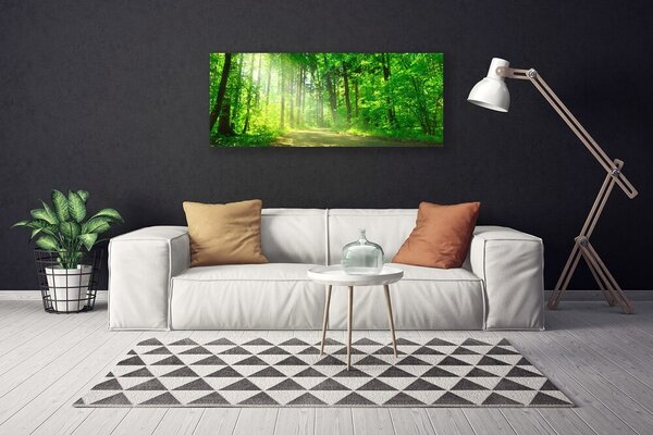 Obraz Canvas Les cestička stromy príroda 125x50 cm