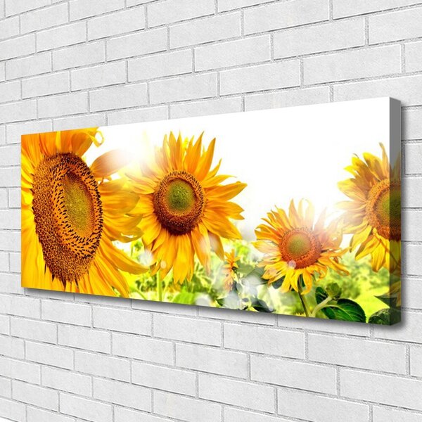 Obraz Canvas Slnečnica kvet rastlina 125x50 cm