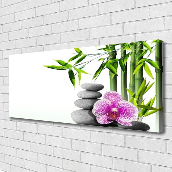 Obraz Canvas Bambus kamene zen umenie 125x50 cm